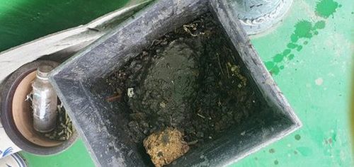 상록구 하수구막힘 양상동 하수구막힘 싱크대 트랩 막힘에서 놓치기 쉬운 원인