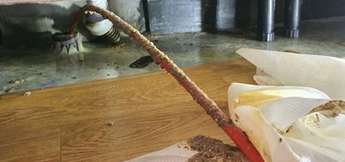 상록구 하수구막힘 안산동 하수구막힘 사무실 변기막힘 사례로 본 원인과 해결